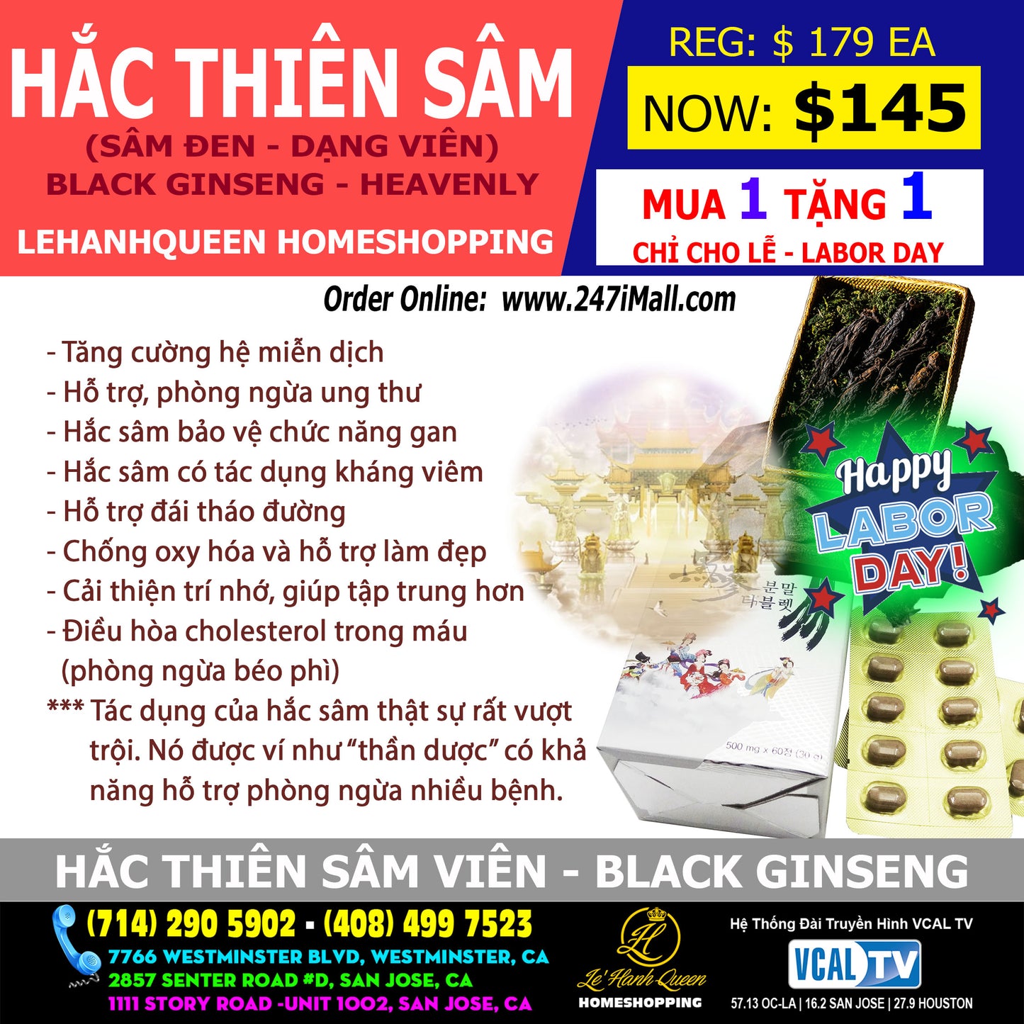 Hắc Thiên Sâm (Dạng Viên) Heavenly