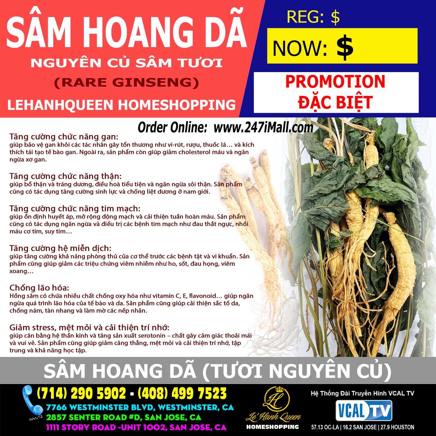 Sâm Hoang Giã (Sâm Tươi Nguyên Củ)