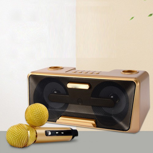 Karaoke Machine - Wireless Microphone
