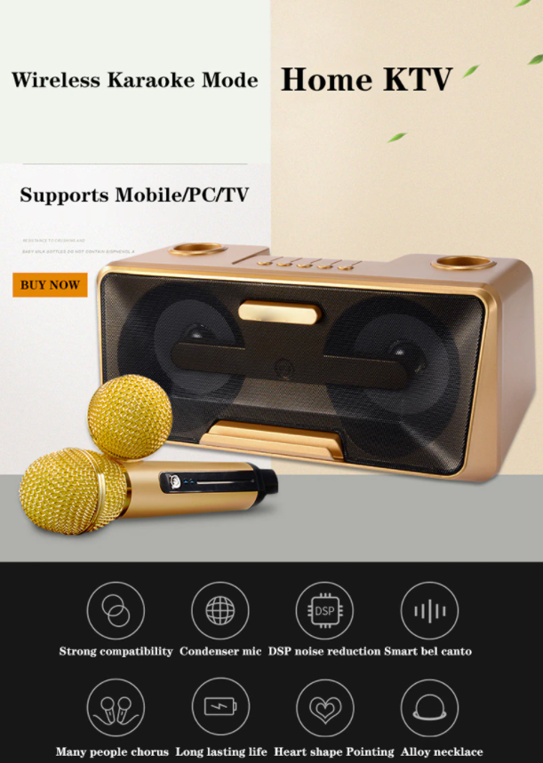 Karaoke Machine - Wireless Microphone