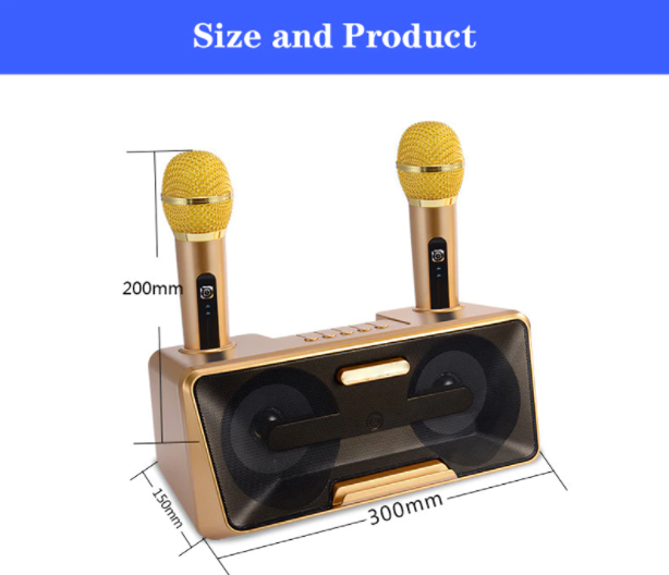 Karaoke Machine - Wireless Microphone
