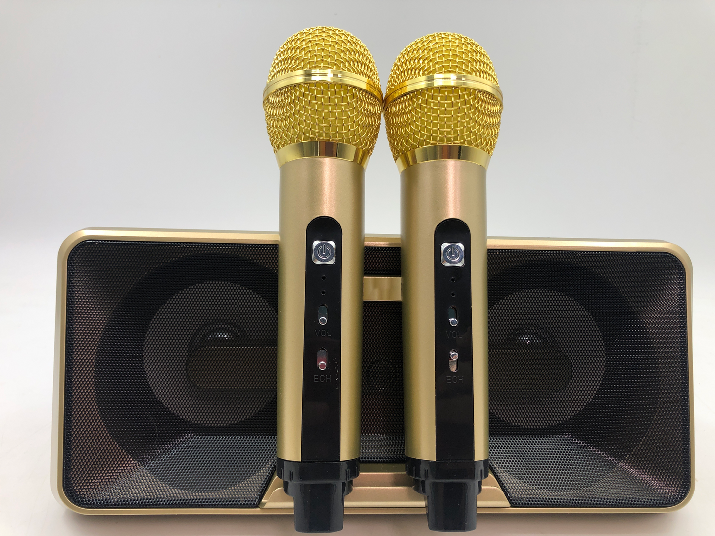Karaoke Machine - Wireless Microphone