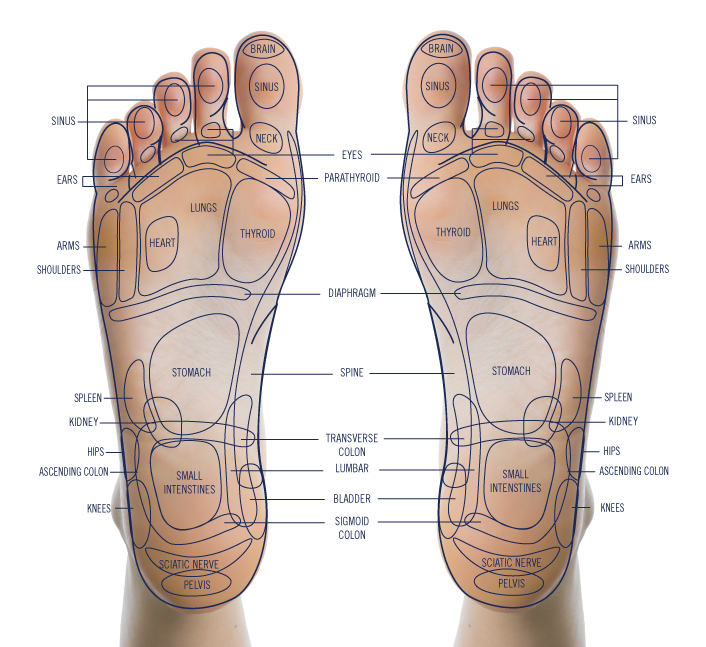 Shiatsu Leg Massager