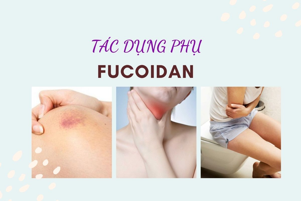 Korean Fucoidan Gold