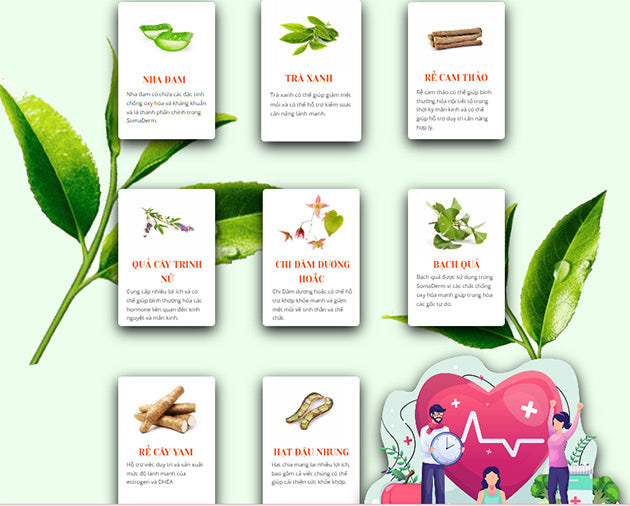 DƯỢC THẢO TRẺ MÃI KHÔNG GIÀ
