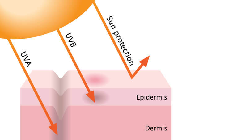 LHQ 4 in 1 BB Sunscreen SPF 35 PA++