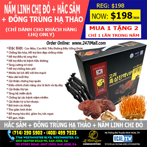 Nấm Linh Chi Đỏ + Hắc Sâm + Đông Trùng Hạ Thảo