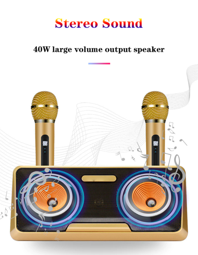 Karaoke Machine - Wireless Microphone