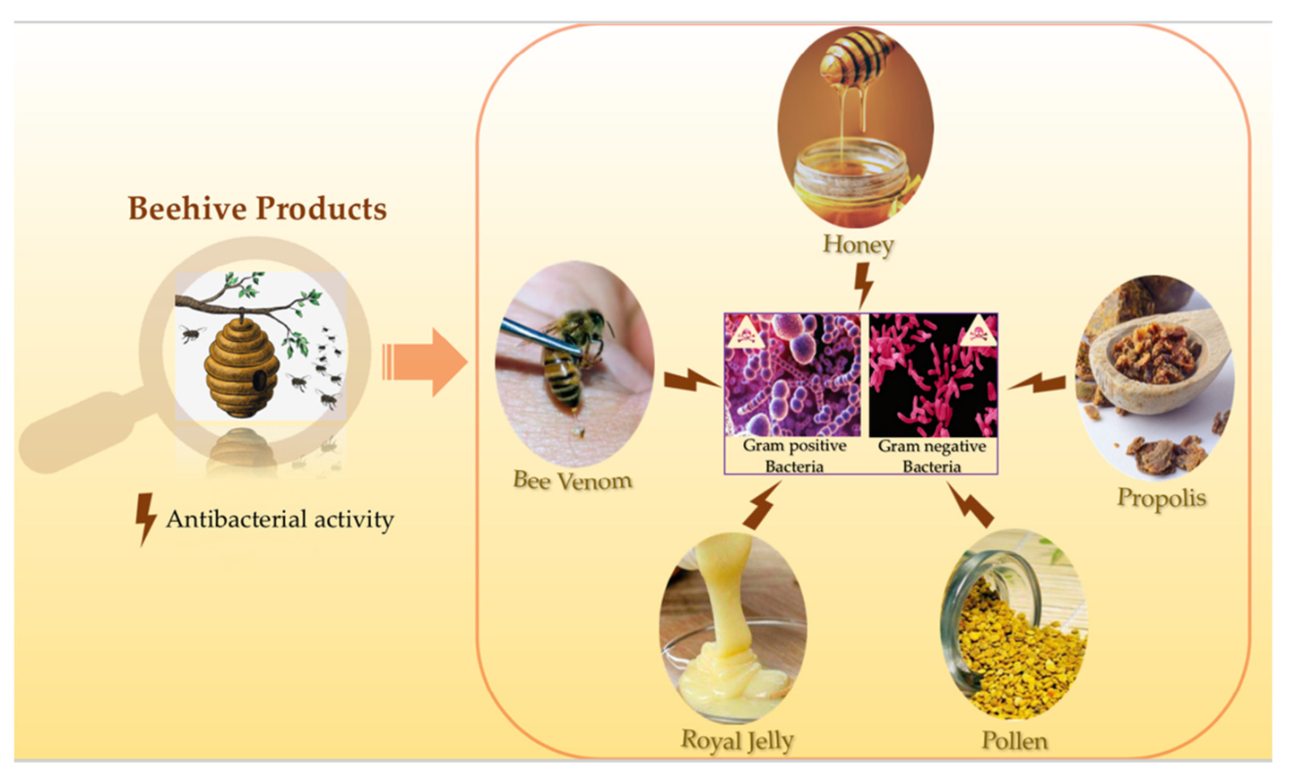 Super Natural Bee Propolis